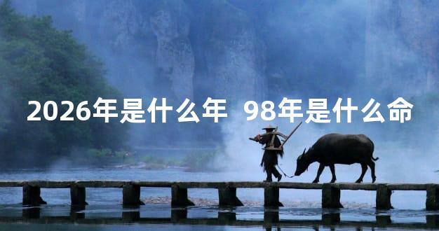 2026年是什么年  98年是什么命